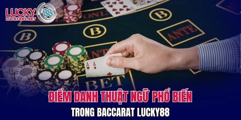 Điểm danh thuật ngữ phổ biến trong baccarat LUCKY88