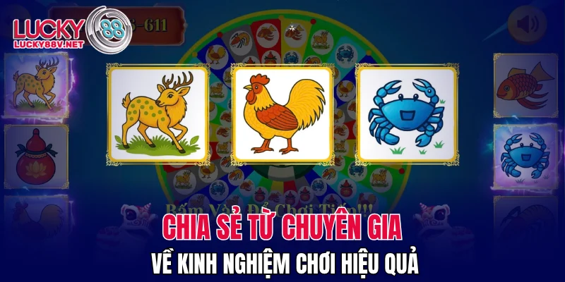 Chia sẻ từ chuyên gia về kinh nghiệm chơi hiệu quả