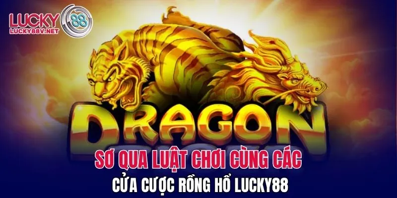 Sơ qua luật chơi cùng các cửa cược Rồng Hổ LUCKY88