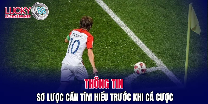 Thông tin sơ lược cần tìm hiểu trước khi cá cược